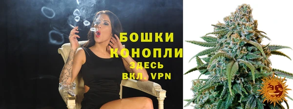 прущие грибы Нязепетровск
