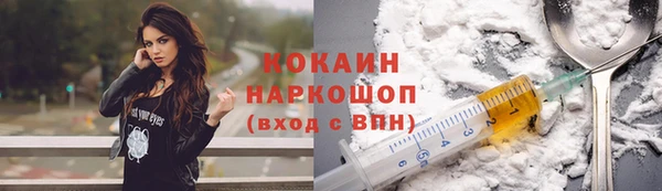 мдпв Новодвинск