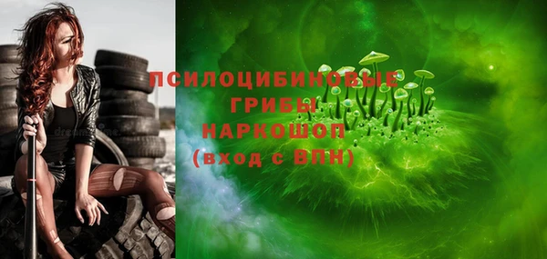мдпв Новодвинск