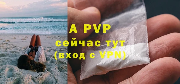 Альфа ПВП Новозыбков
