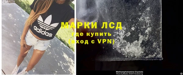 Альфа ПВП Новозыбков