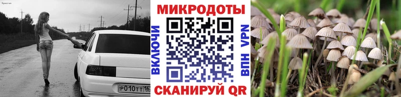 Псилоцибиновые грибы GOLDEN TEACHER  Кадников 